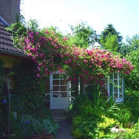 Ferienwohnung Diena - Unterkunft Mit Toller Ausstattung Und Zwei Terrassen Tarp Buitenkant foto