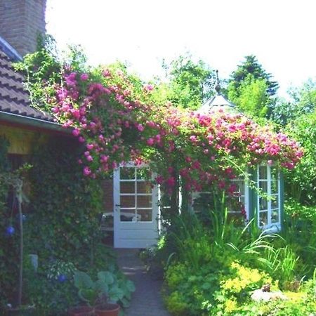 Ferienwohnung Diena - Unterkunft Mit Toller Ausstattung Und Zwei Terrassen Tarp Buitenkant foto